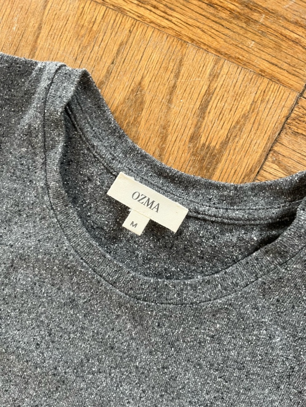 Ozma classic tee silk Noil jersey Gray Crew Neck Tee - Picture 2 of 4